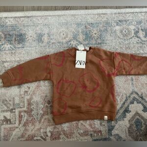 Zara pullover sweater